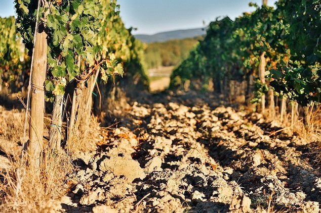 Chianti Classico: Jedna z najstarších apelácií na svete prichádza so zmenami